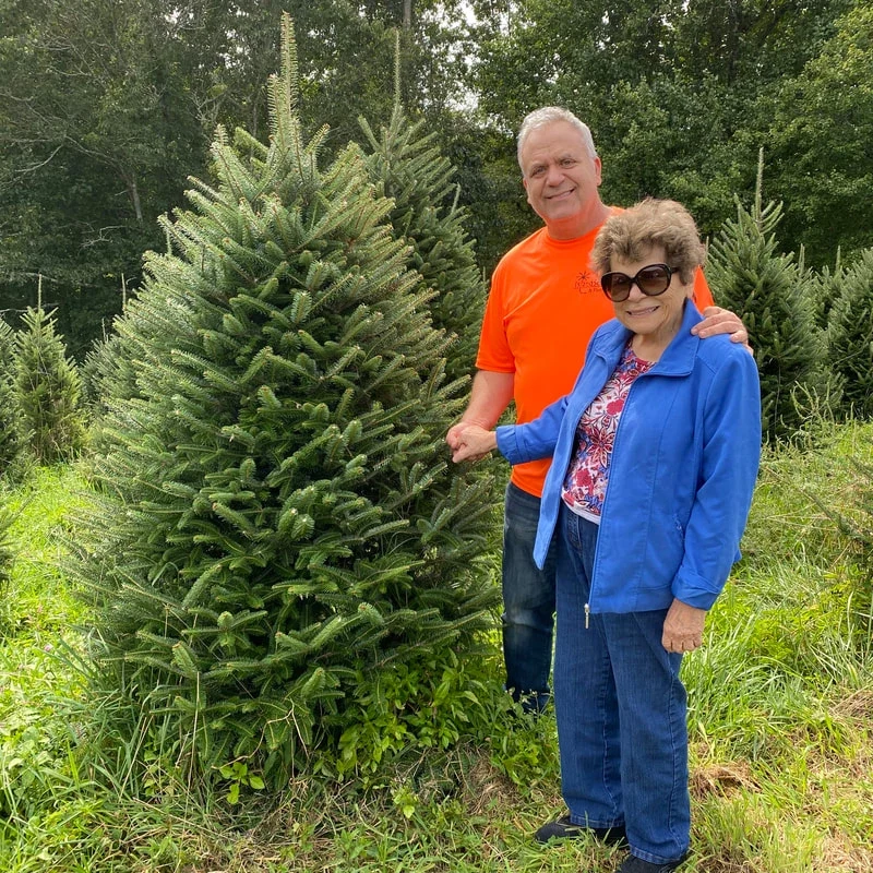 Visitors beside a fir tree at Bear Valley Farm