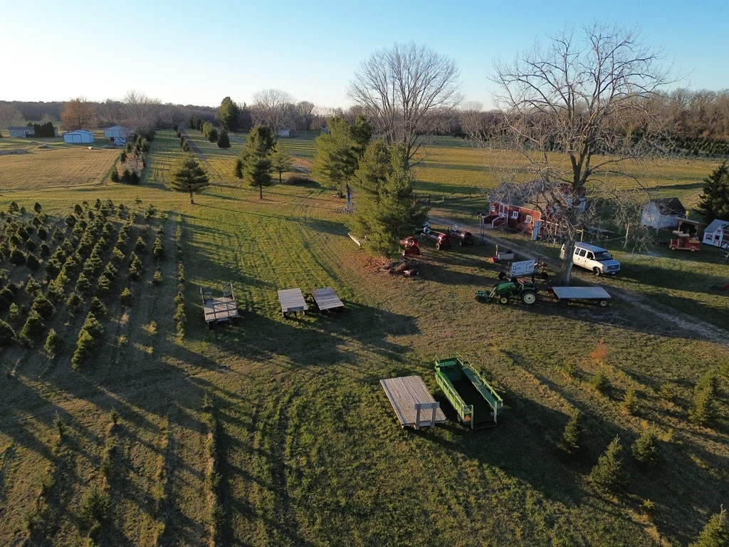 Aerial view of tree fields and buildings at Ben’s Christmas Tree Farm