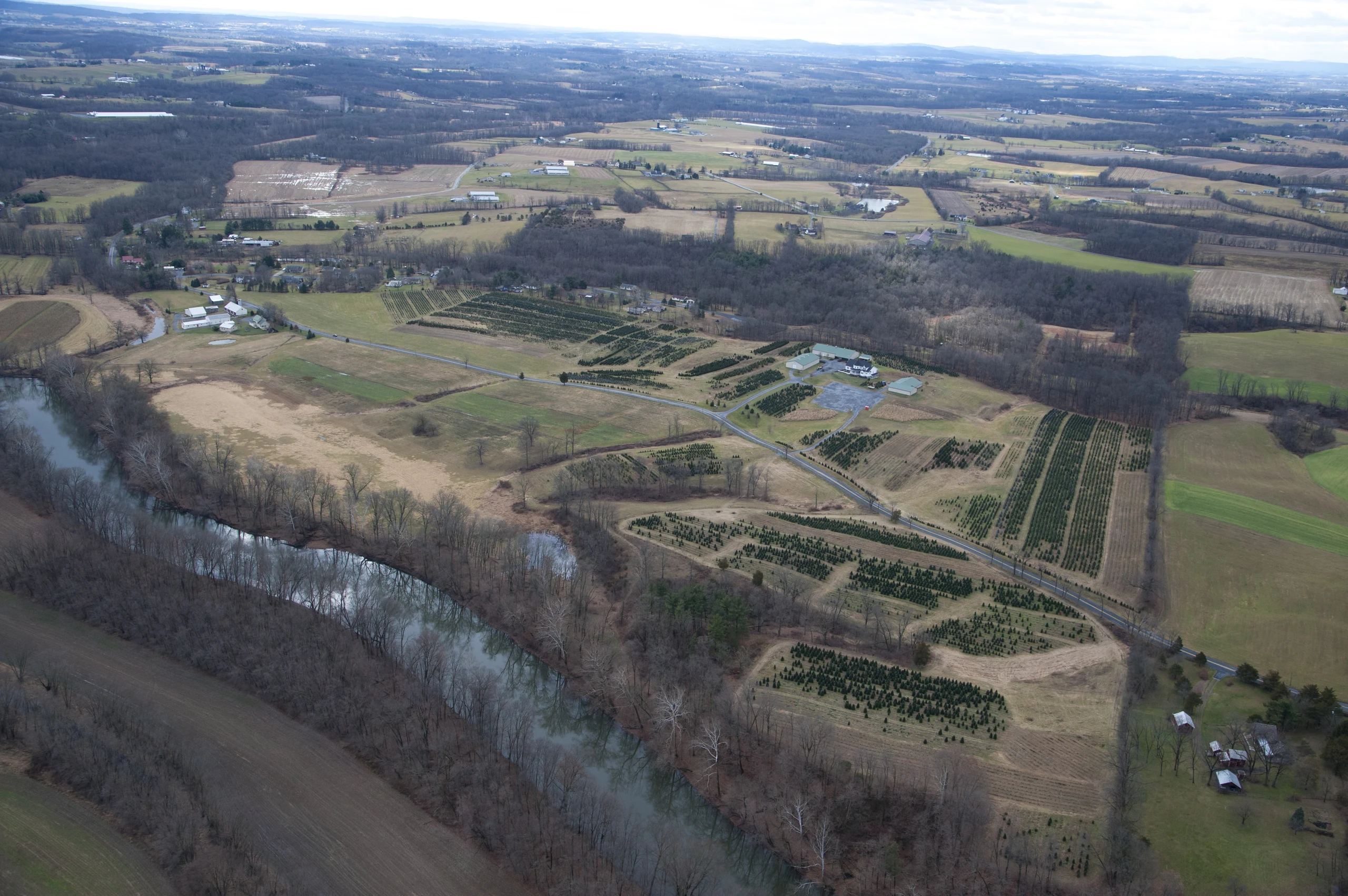 An aerial view of tree fields, farm buildings and a winding road at Blue Ridge Christmas Tree Farm.