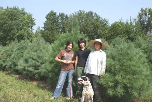 Three people and a dog stand among Christmas tree rows at Cathole Bend