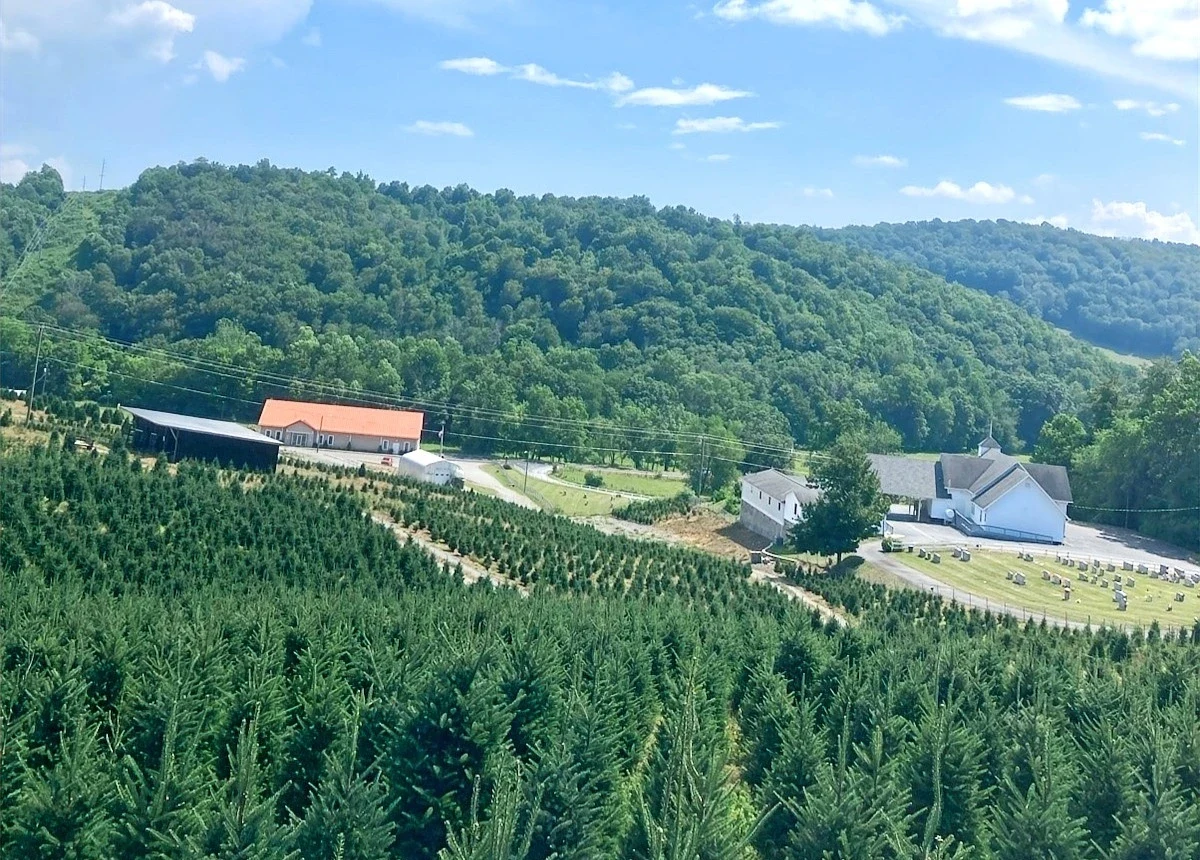 Tree rows and farm buildings at Clawson’s Choose & Cut