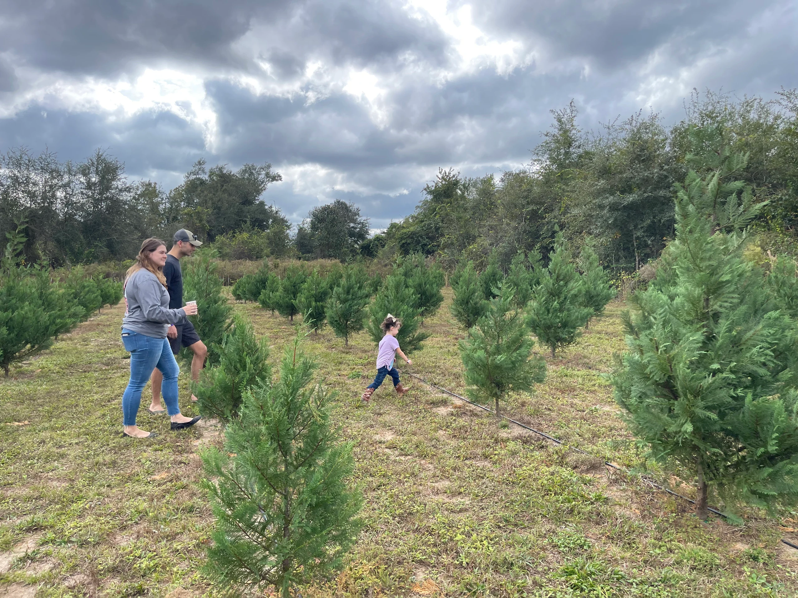 Visitors in the Hidden Cypress Farm tree field.