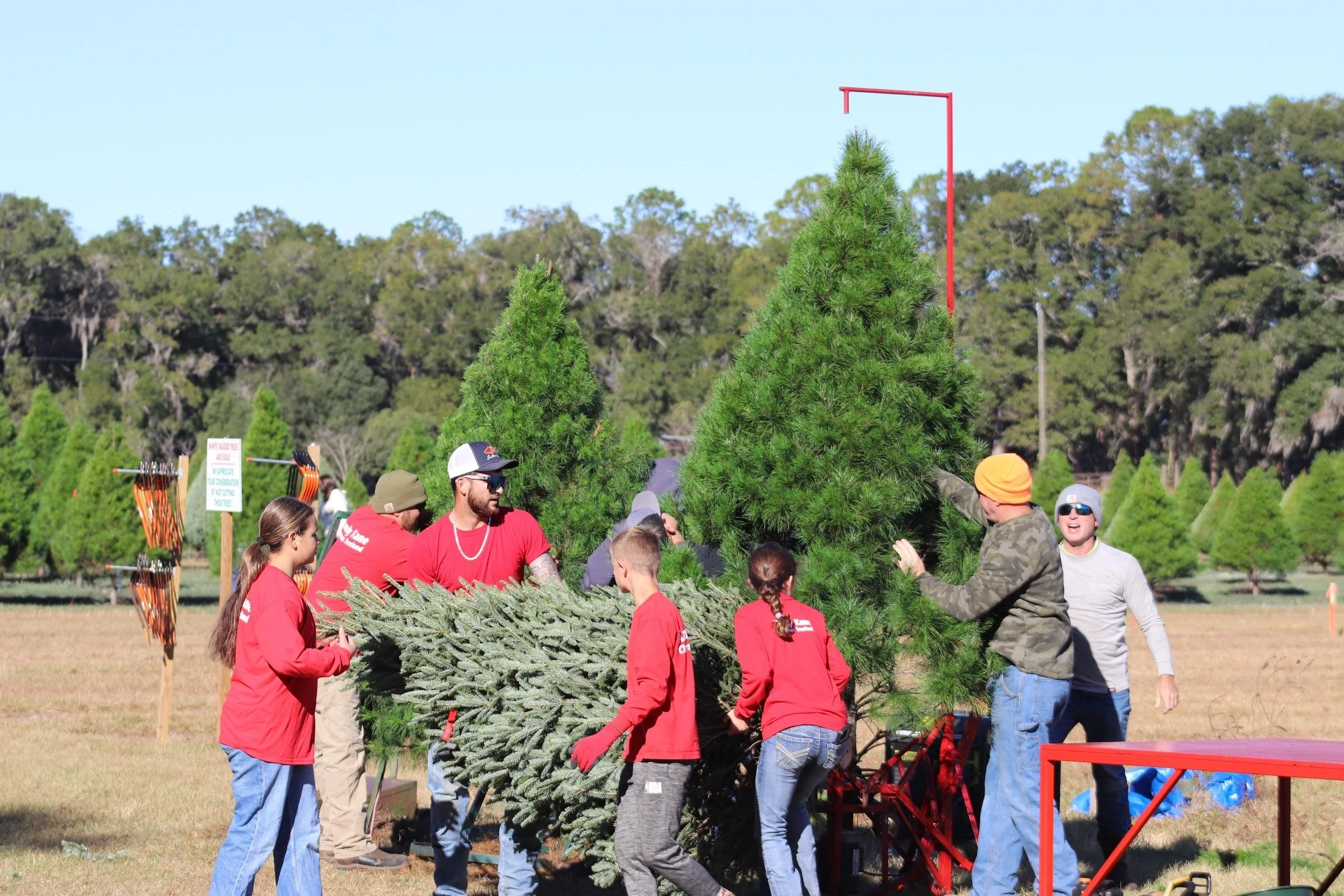 Visitors and staff with a tree at Kandy Kane Christmas Treeland.