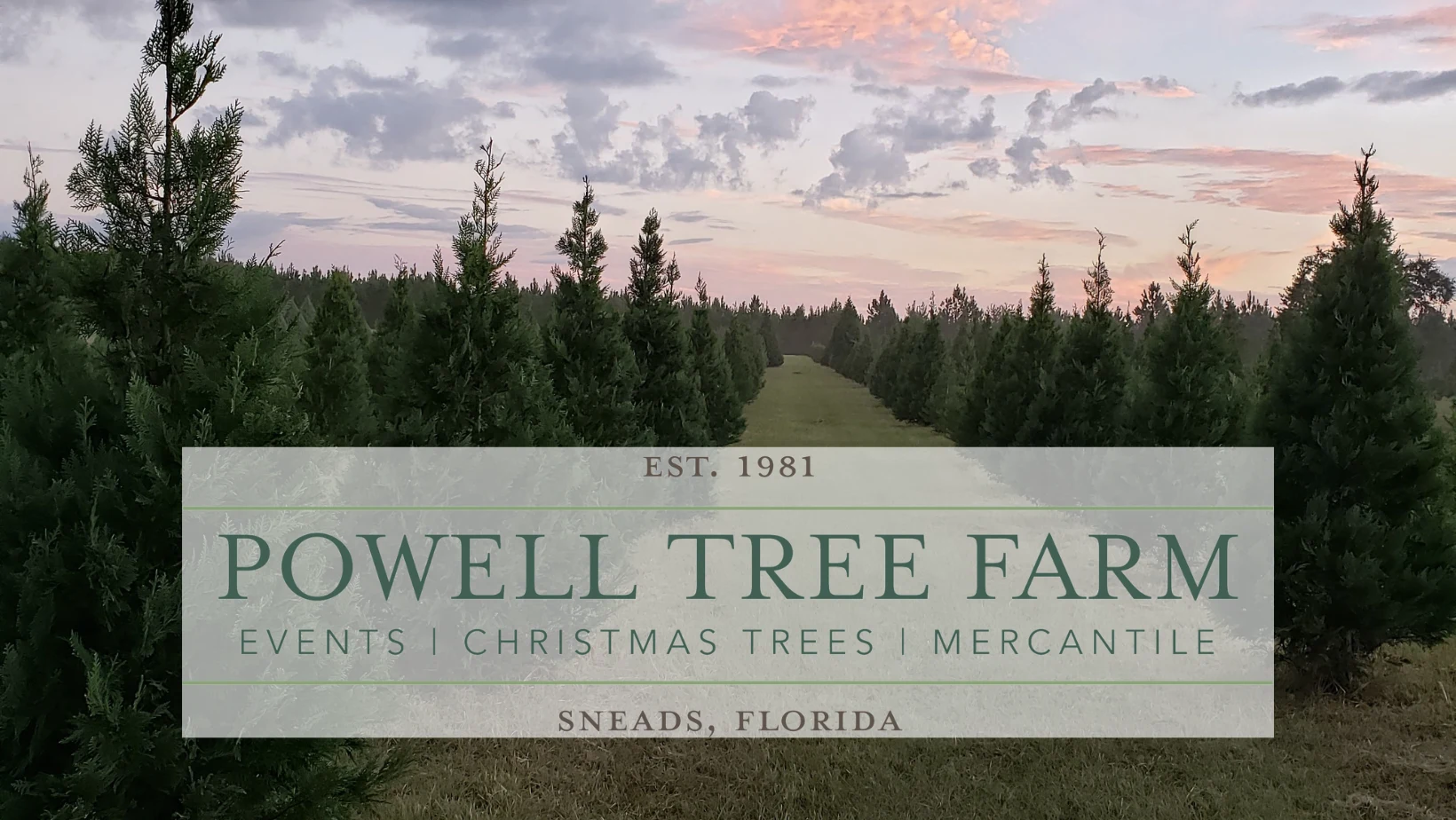 Powell Tree Farm’s tree field and farm identity. Operator cover photograph.