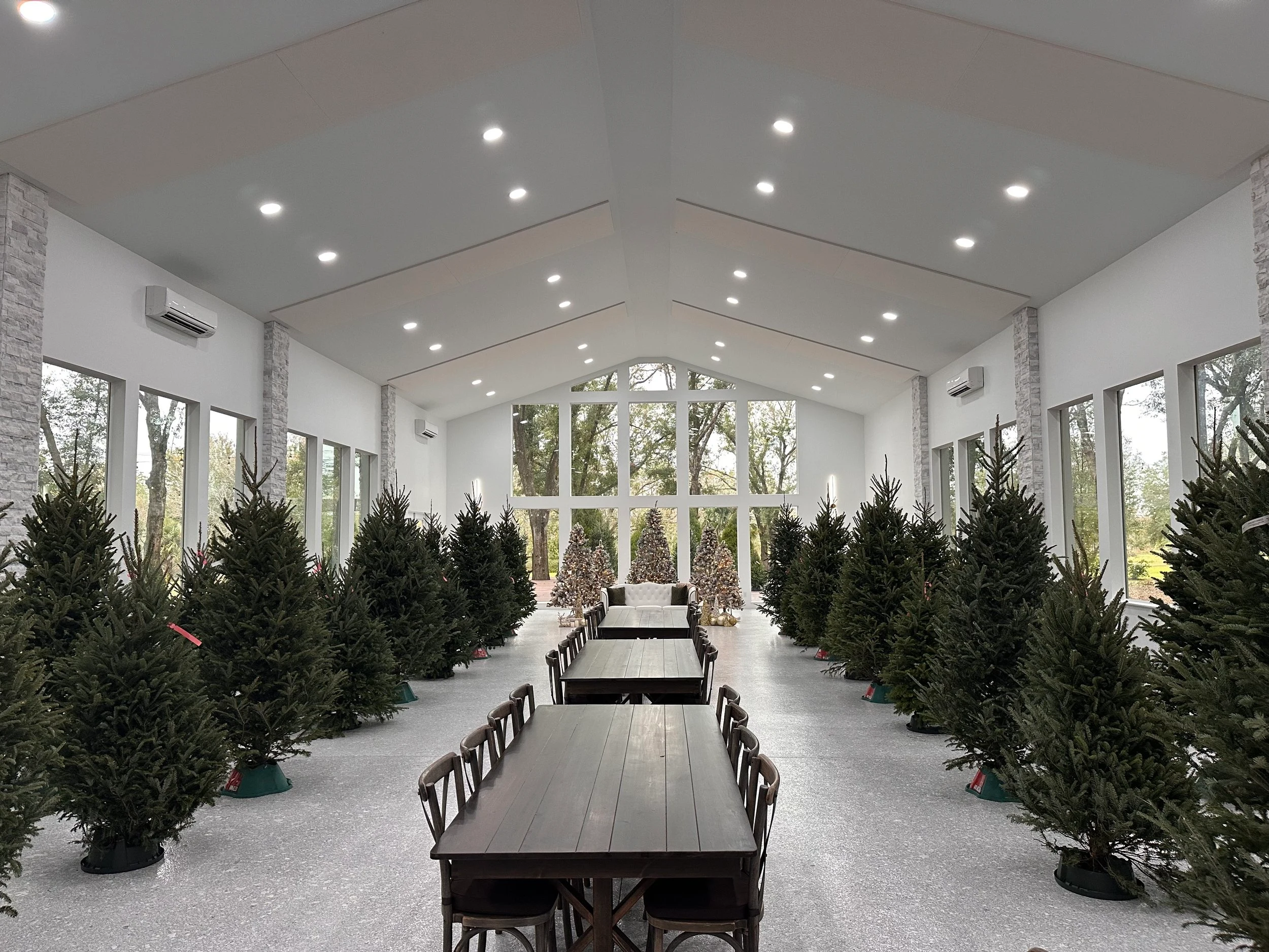 Trees displayed inside The Whitewood Ranch. Operator archive photograph.