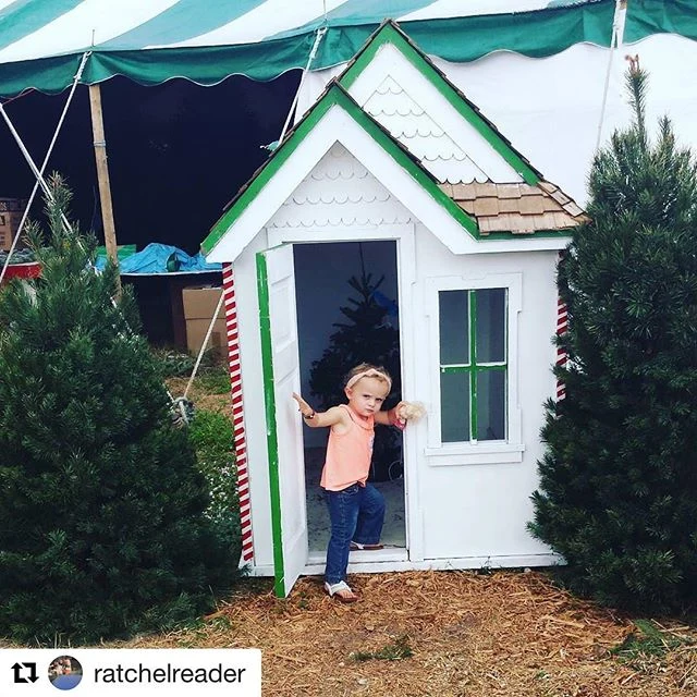A Jupiter visit from Tree Towne’s customer gallery. Photograph: @ratchelreader.