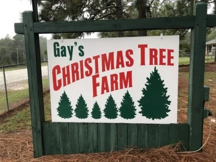 The entrance sign at Gay’s Christmas Tree Farm.