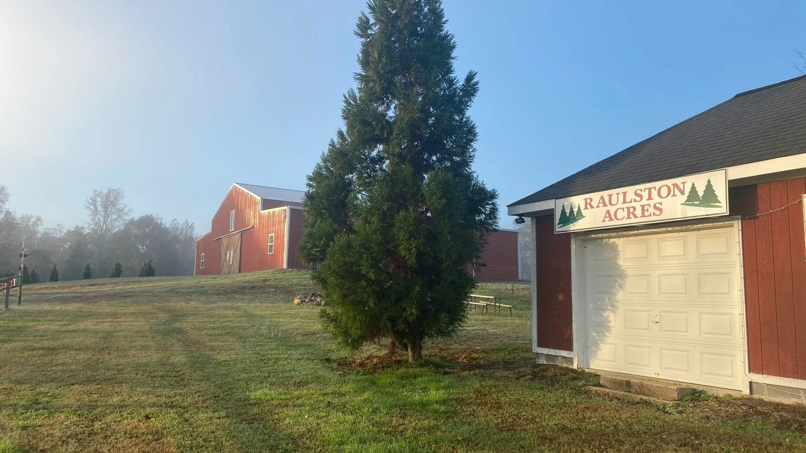 A tall evergreen beside the Raulston Acres sign and red farm buildings.