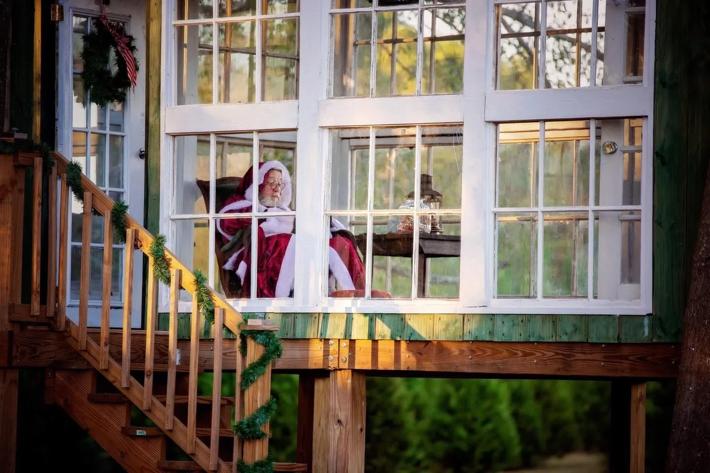 Father Christmas at Wheeler’s Christmas Tree Farm.