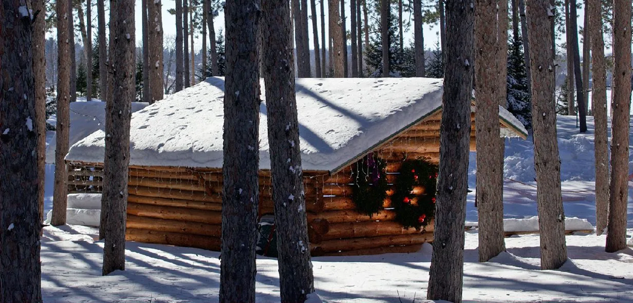 Log cabin among snow-covered pines at Hansen Tree Farm