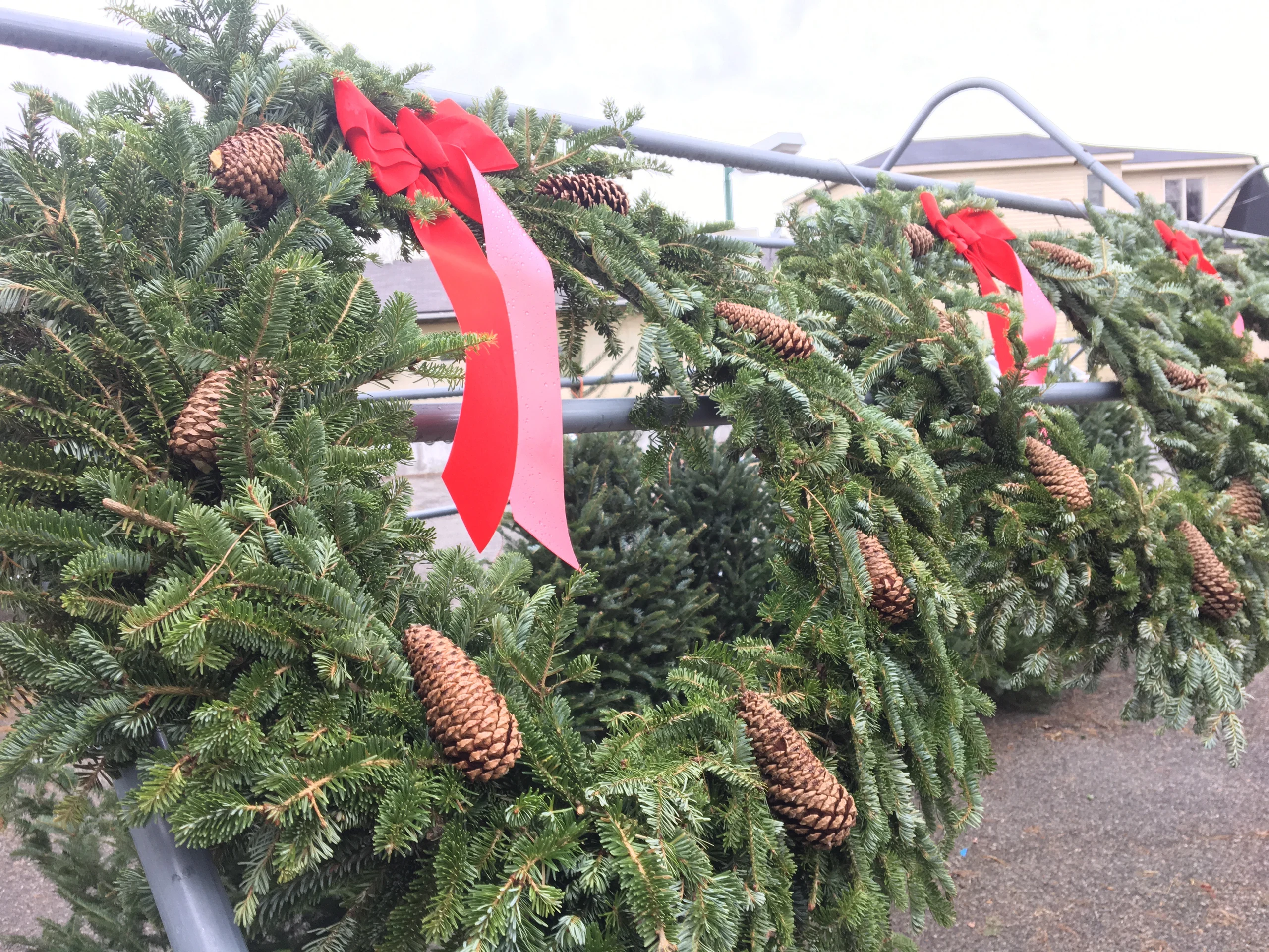 Fresh evergreen wreaths decorated with red bows and pinecones at Hinton’s market