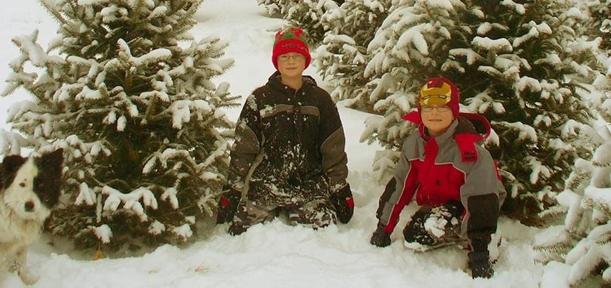 Visitors among snow-covered trees at Howell Tree Farm