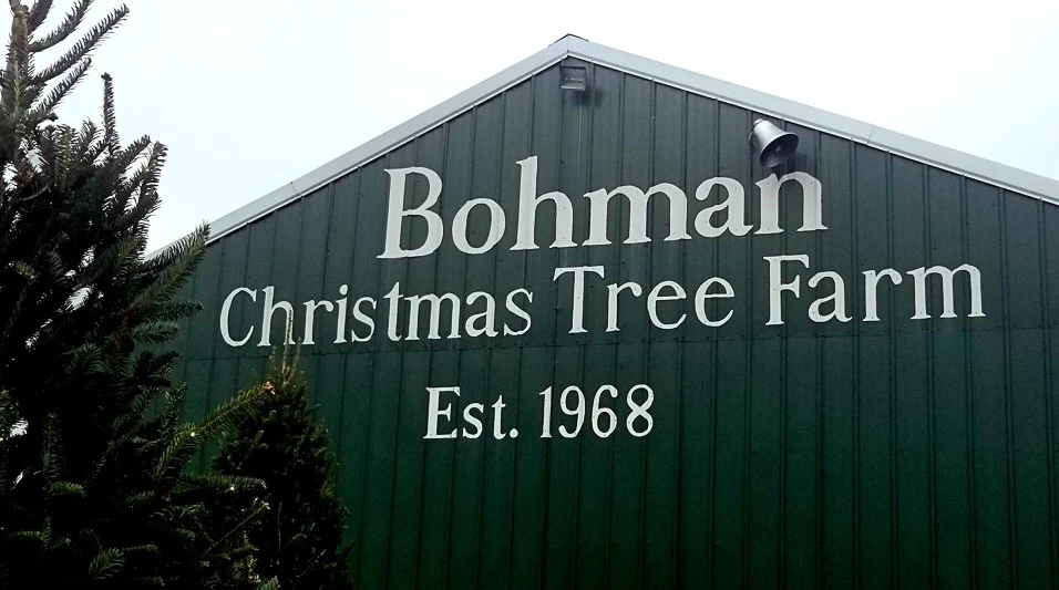 Bohman’s Christmas tree barn with its farm sign.