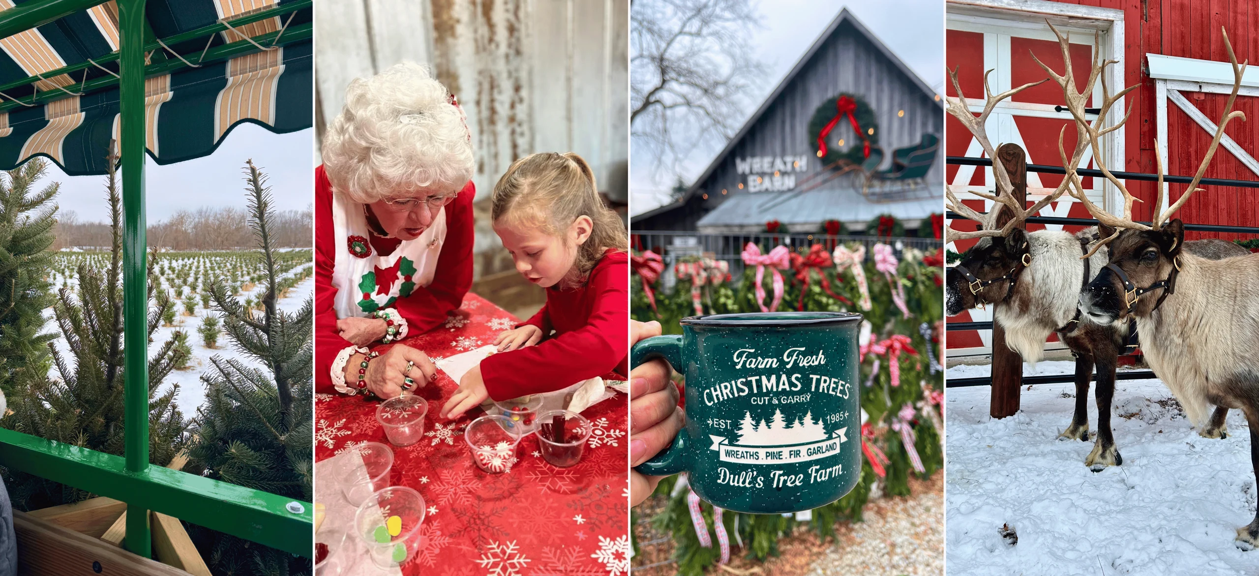 Christmas scenes at Dull’s: a wagon, holiday crafts, the Wreath Barn and reindeer.