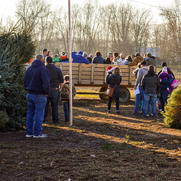 Families gathering beside the tree-field wagon at Piney Acres.