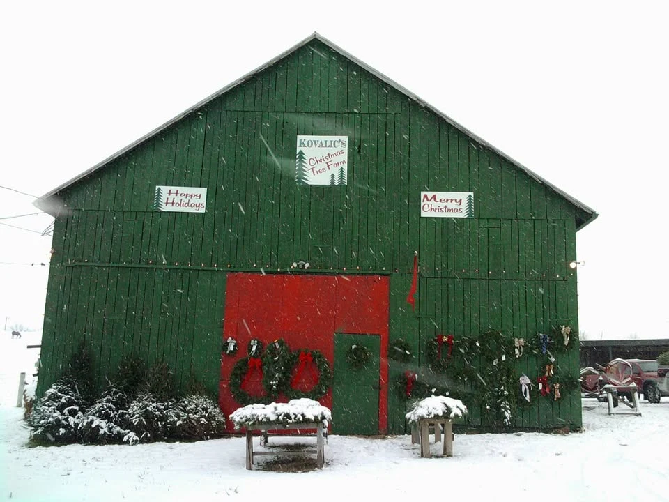 Kovalic’s green barn with red doors, Christmas tree farm signs, wreaths and trees in the snow.