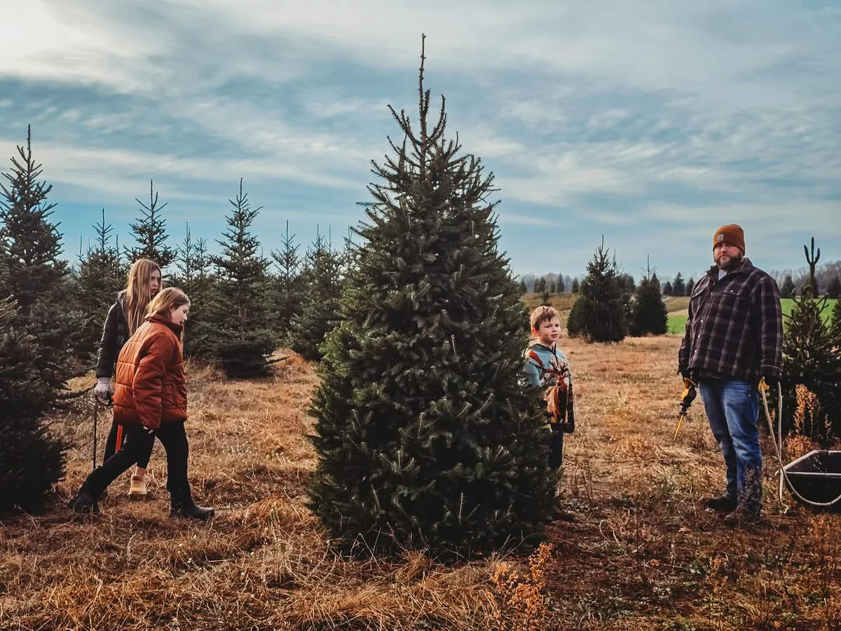 A family standing beside a tall Christmas tree in Bosch’s tree rows.