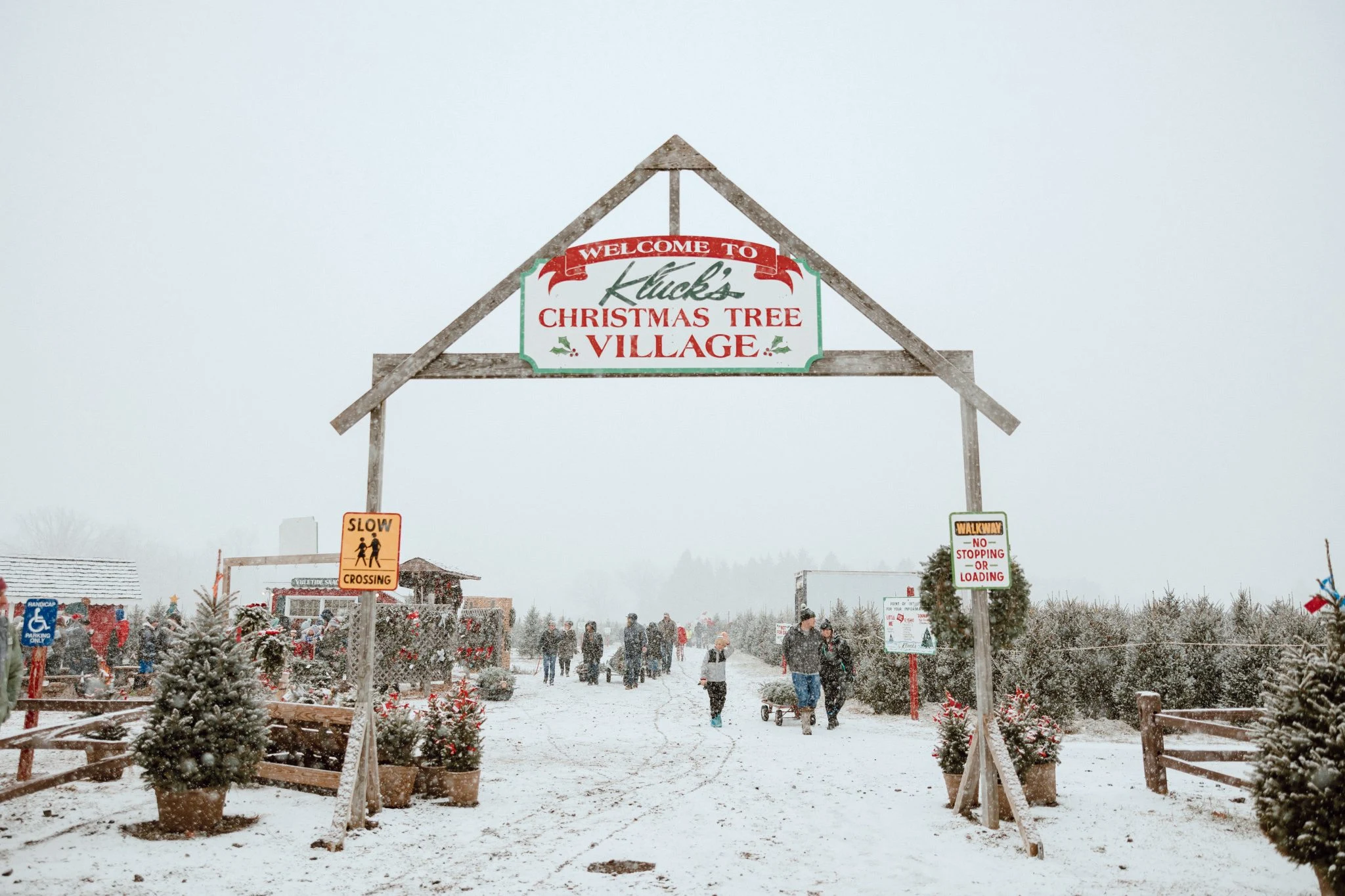 The timber gateway to Kluck’s Christmas Tree Village, with snow-covered trees and visitors beyond.