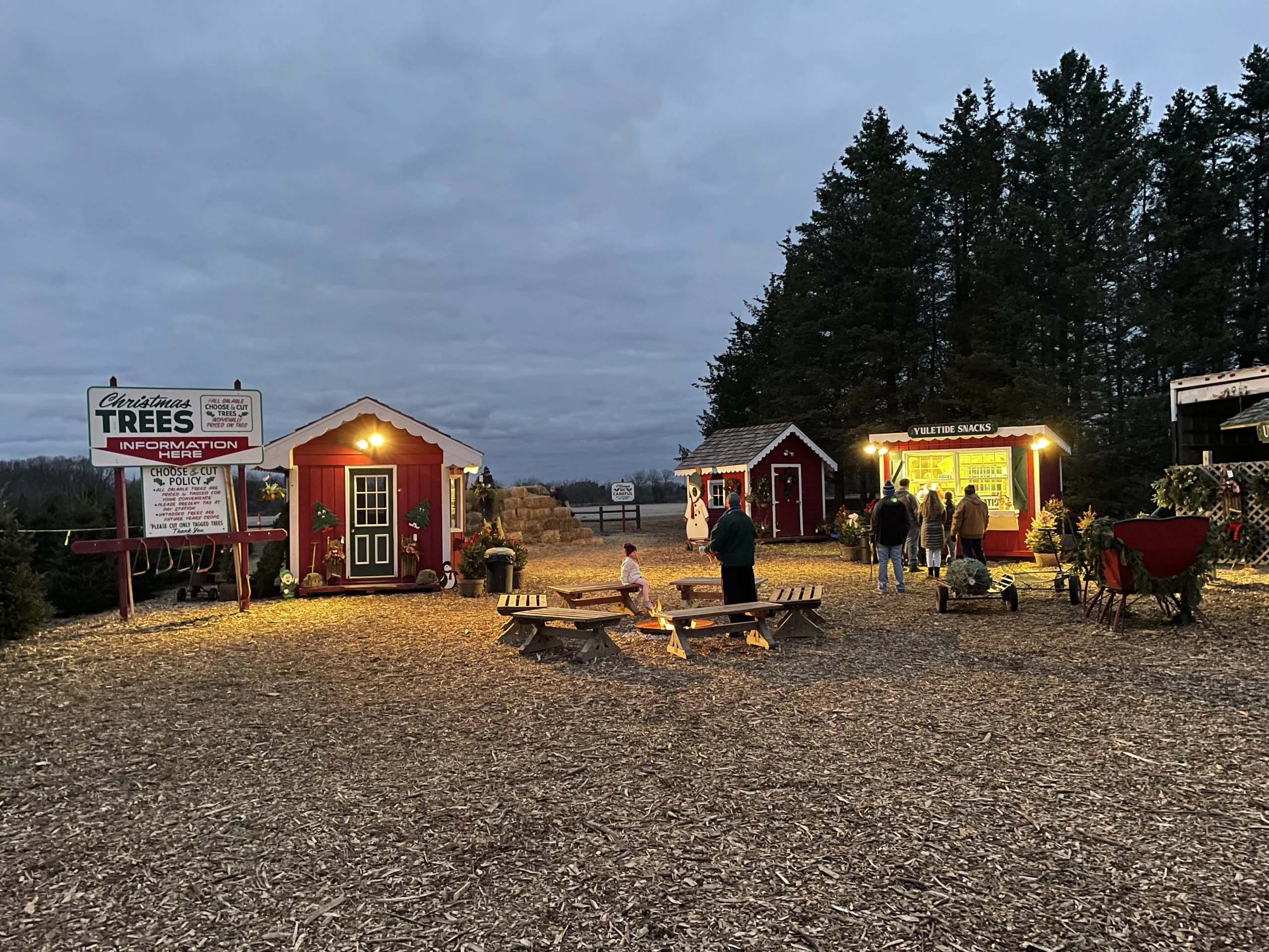 Lit red cabins, picnic tables and visitors in Kluck’s Christmas tree village at dusk.