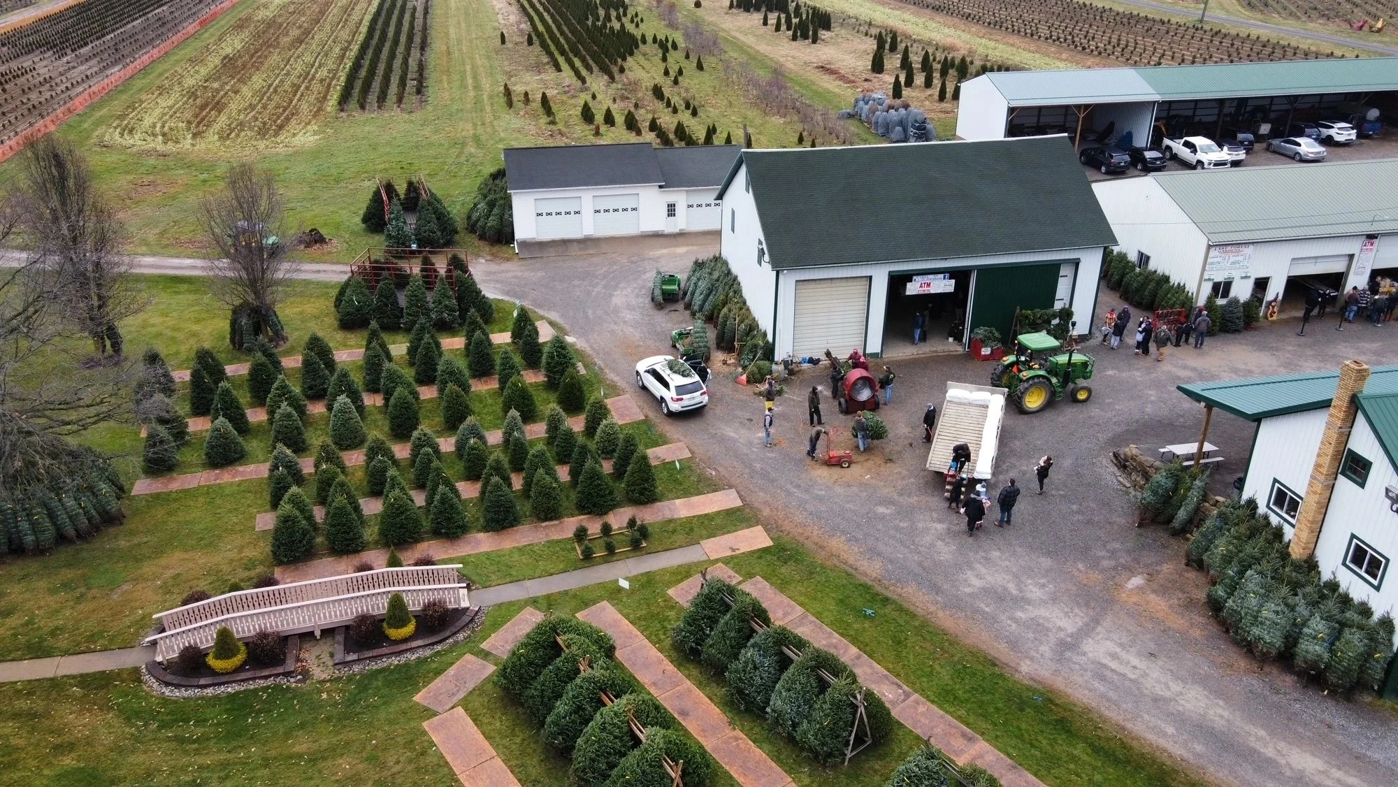 An aerial view of Christmas tree displays and the sales buildings at Lake Forest Gardens.