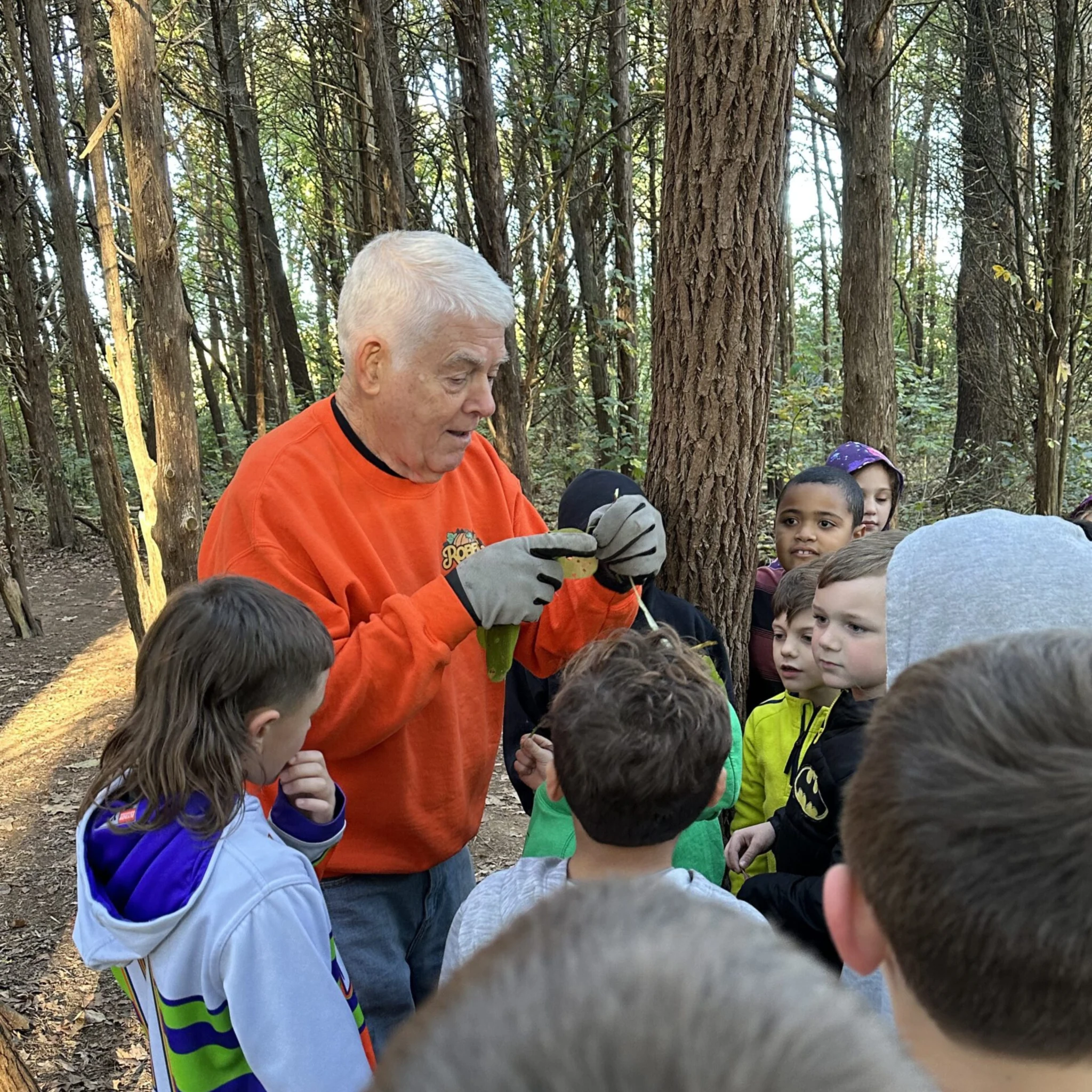 A staff member wearing a Roberts Family Farm shirt shows children a plant during a woodland farm visit