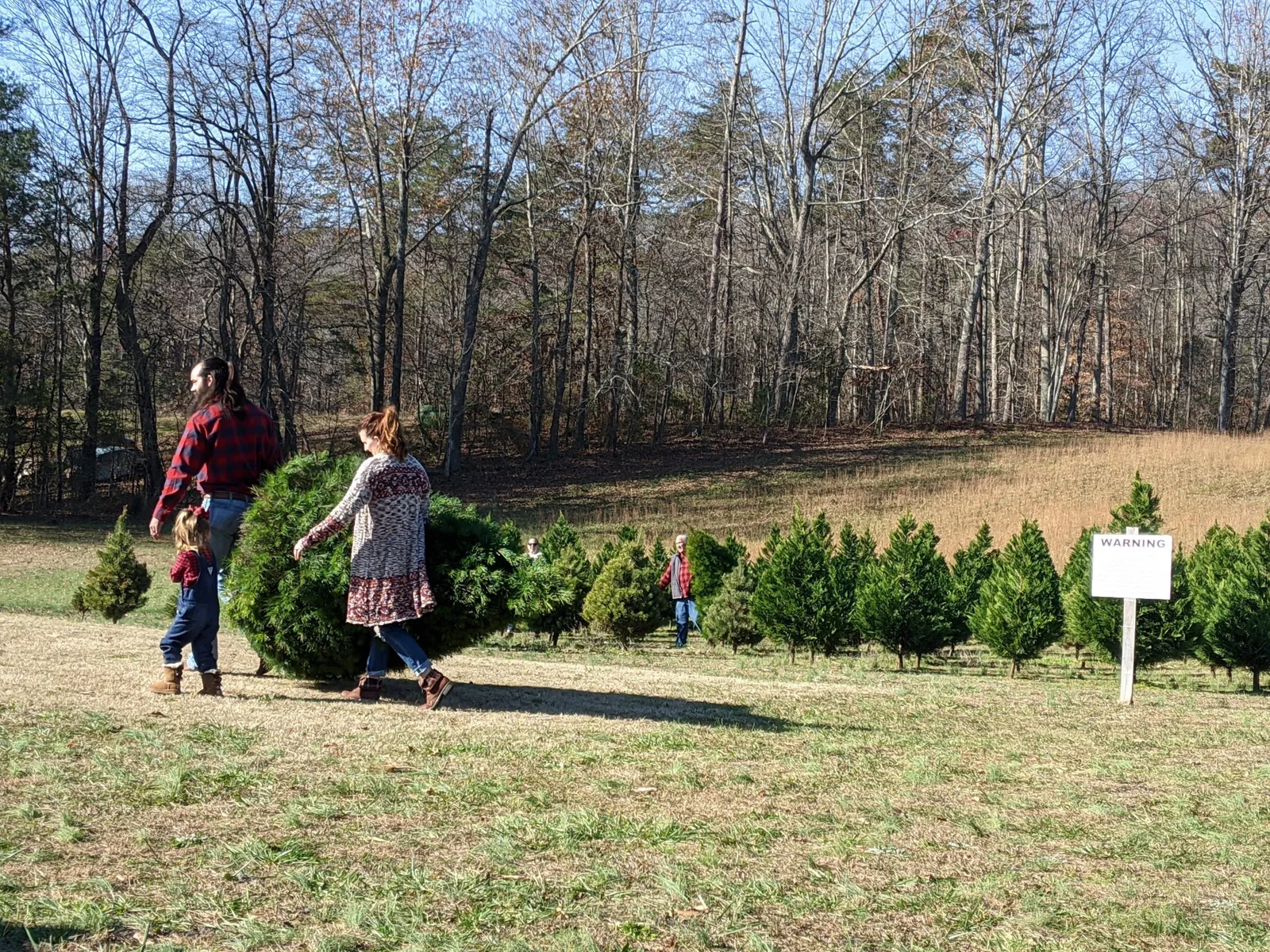 Visitors among trees in the Bluebird farm field.