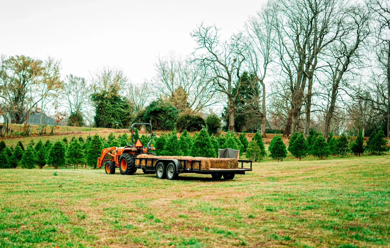 A tractor and wagon beside Country Lane tree fields.
