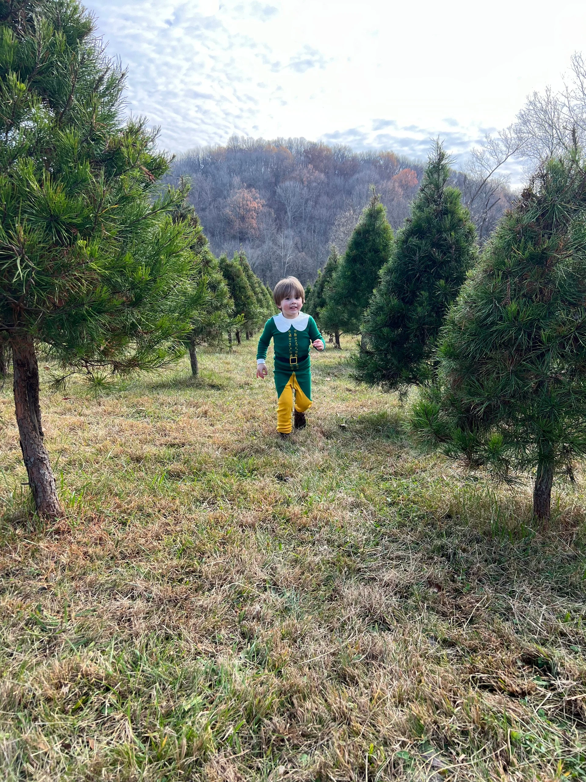 A visitor in the Holcomb farm tree field.