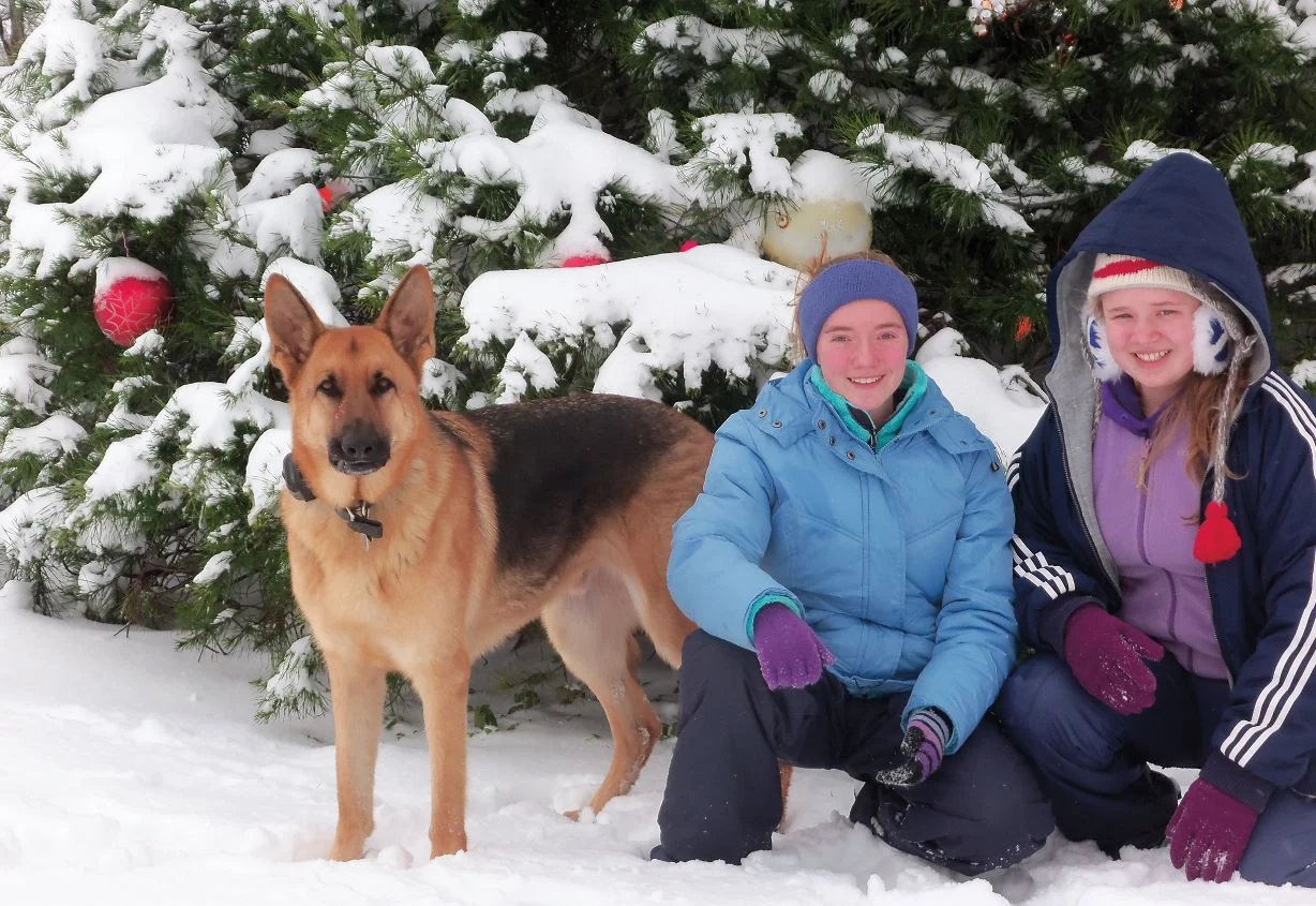 Two visitors and a dog beside snowy evergreens at TreeLand