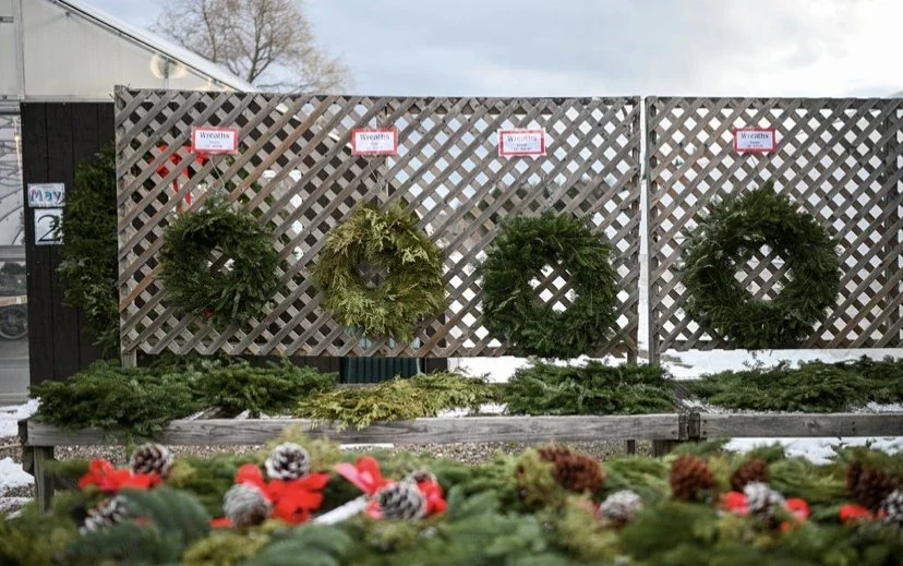 Holiday wreaths at Evergreen Gardens.