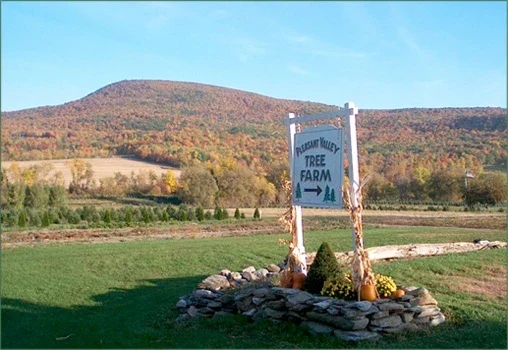 The sign at Pleasant Valley Tree Farm.