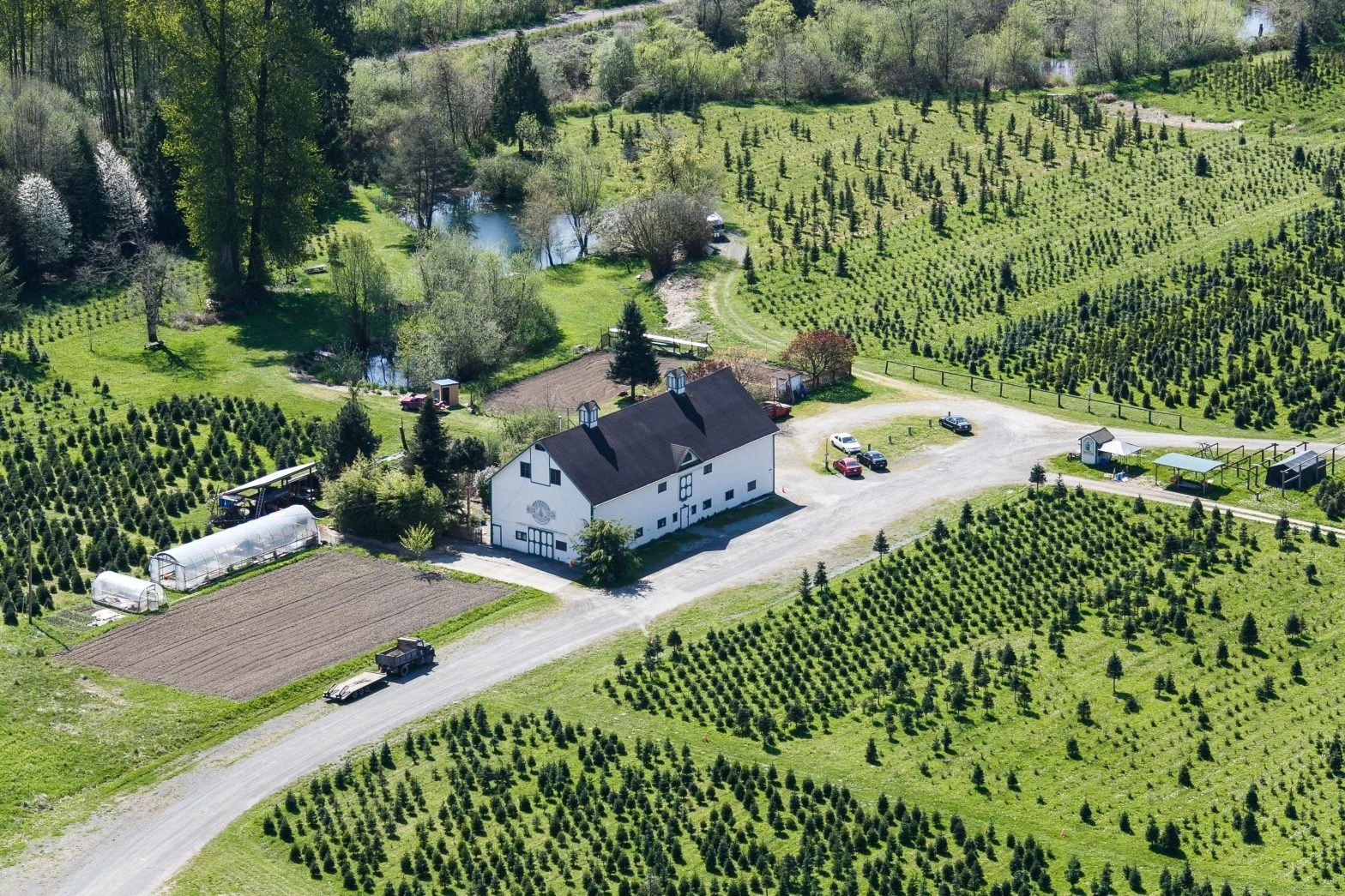 The house and tree fields at Carnation Tree Farm.