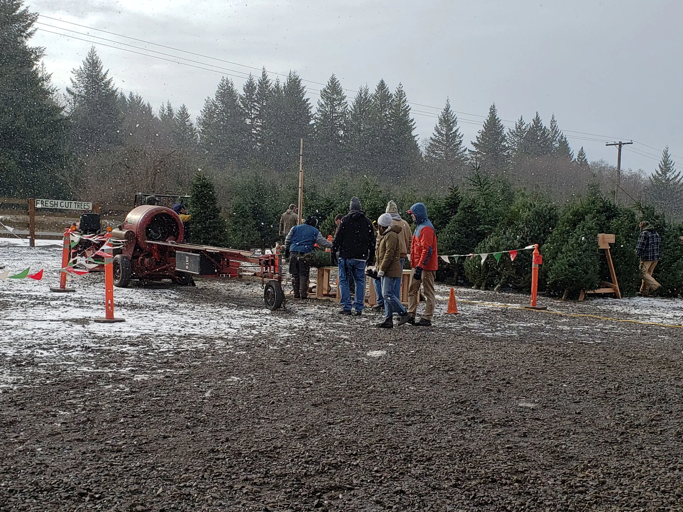 Visitors and trees at Klopman Farms.
