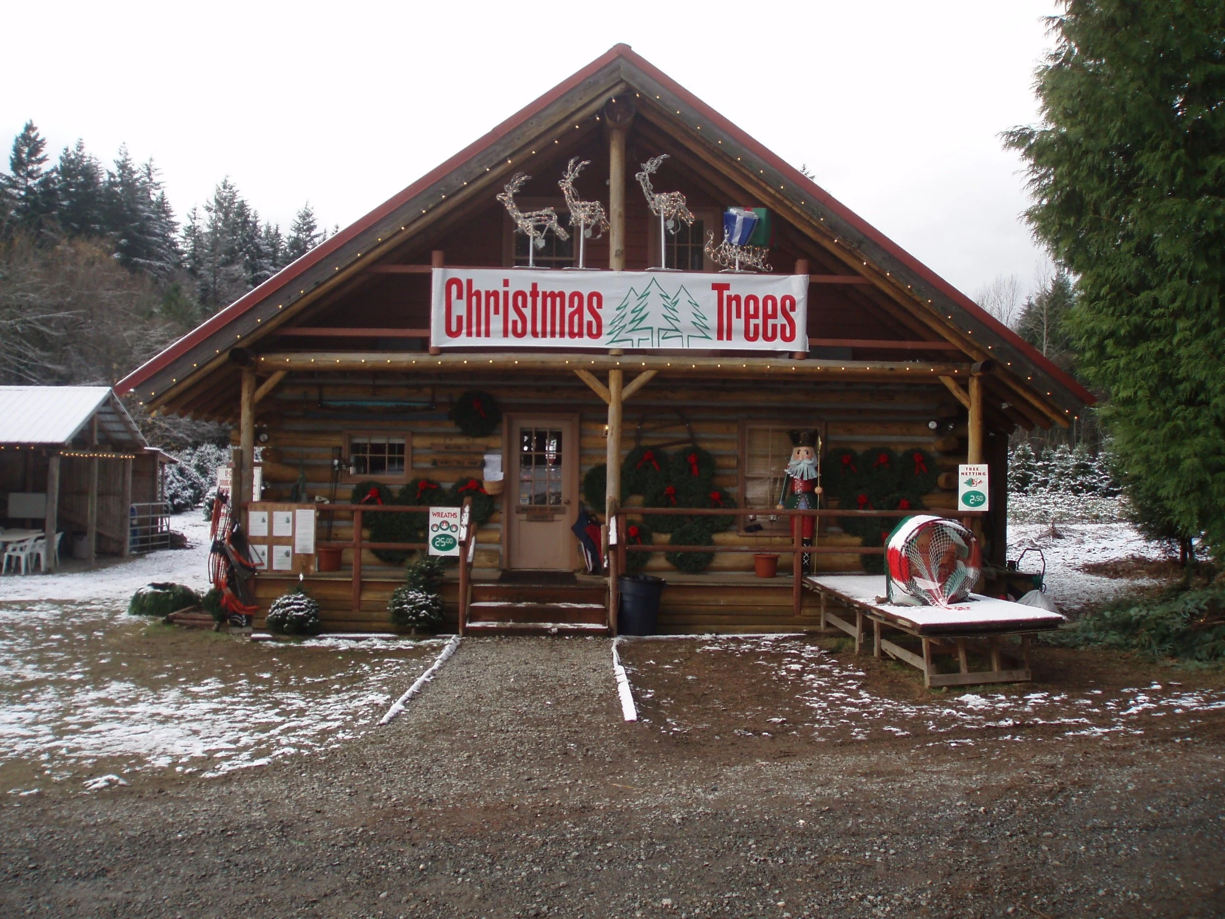 The log cabin shop at Trinity Tree Farm.