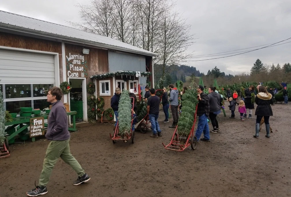 Visitors at the Washougal River Christmas Trees sales building.