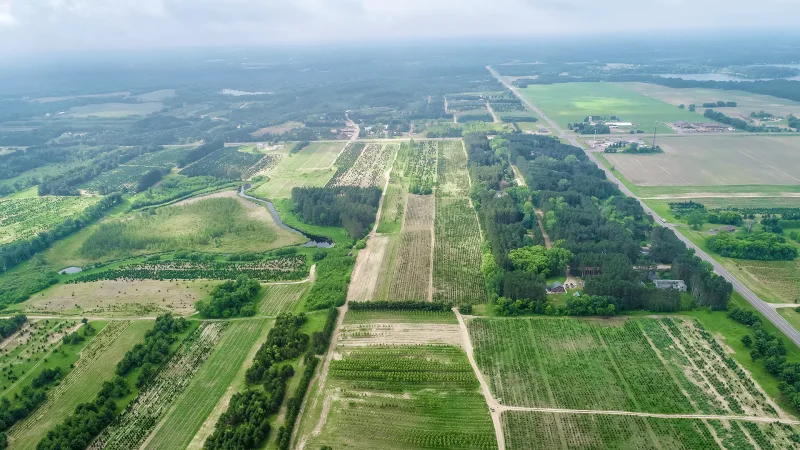 Aerial view of fields at Wolcyn Tree Farms