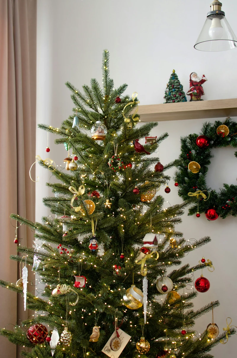 A naturally shaped Christmas tree with warm lights, red and gold baubles and family ornaments in a bright living room.